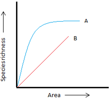 Find the line indicates the equation S = CAz in the given figure in log-log scale