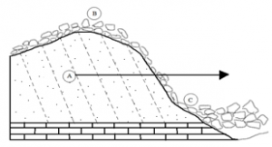 The part labelled is the parent rock & is yet to undergo weathering in given diagram
