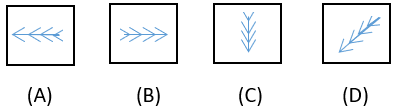 Figure Classification - Set 5 - Q5