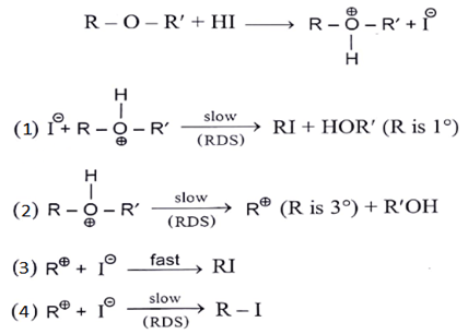 organic-chemistry-questions-answers-test-q5