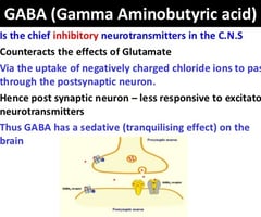 Image: Gamma-aminobutyric acid (GABA)