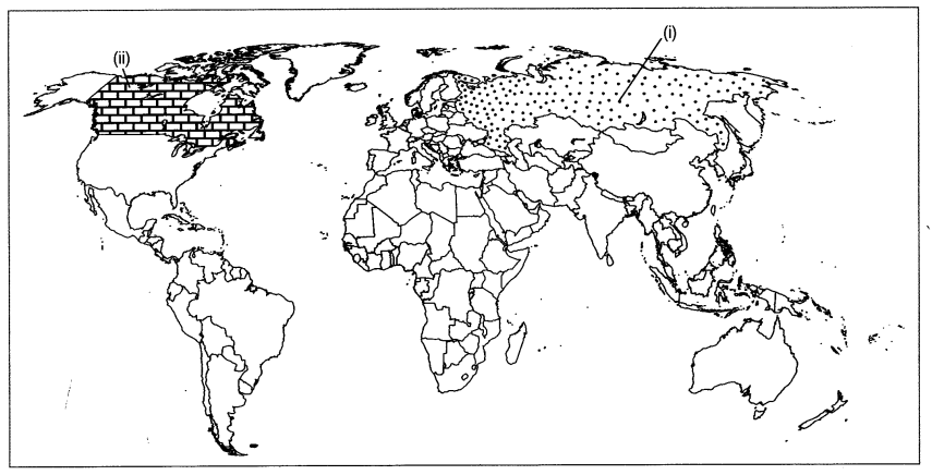 Class 9 History Map Work Chapter 2 Socialism in Europe and the Russian Revolution 4