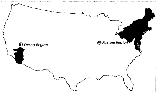 Class 9 History Map Work Chapter 5 Pastoralists in the Modern 8.1