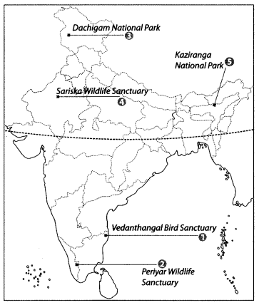 Class 9 Geography Map Work Chapter 5 Natural Vegetation and Wildlife 3.1