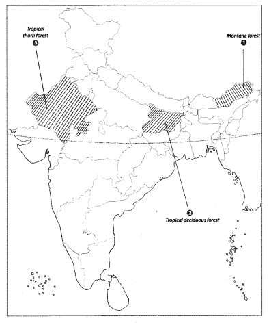 Class 9 Geography Map Work Chapter 5 Natural Vegetation and Wildlife 2.1