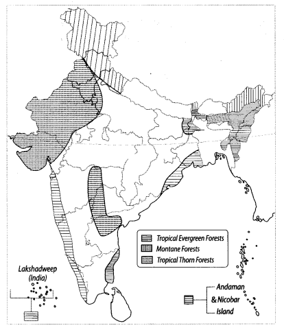 Class 9 Geography Map Work Chapter 5 Natural Vegetation and Wildlife 1.1