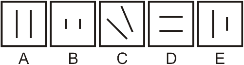 Classification