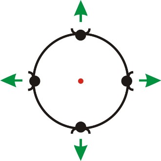 Seating Arrangement Circle