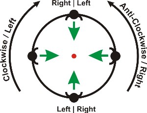 Seating Arrangement Circle