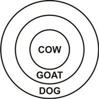 Syllogism