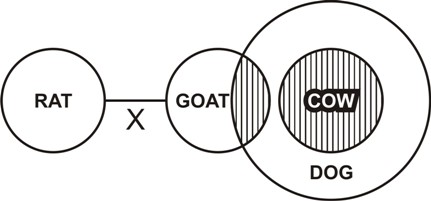 Syllogism