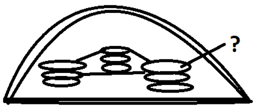Thylakoid of the chloroplast diagram