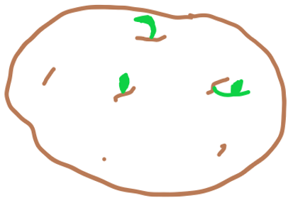 Tuber of a potato diagram