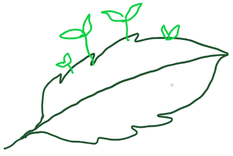 Vegetative propagation by leaves diagram