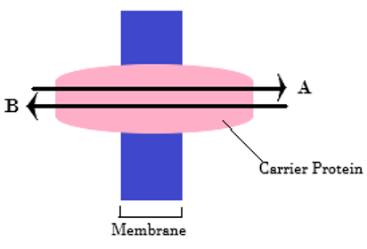 Find the kind of facilitated diffusion from the given diagram