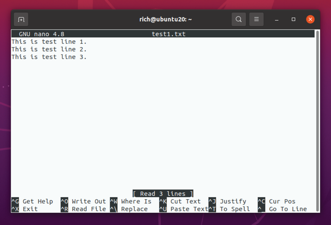 Snapshot shows using the nano text editor