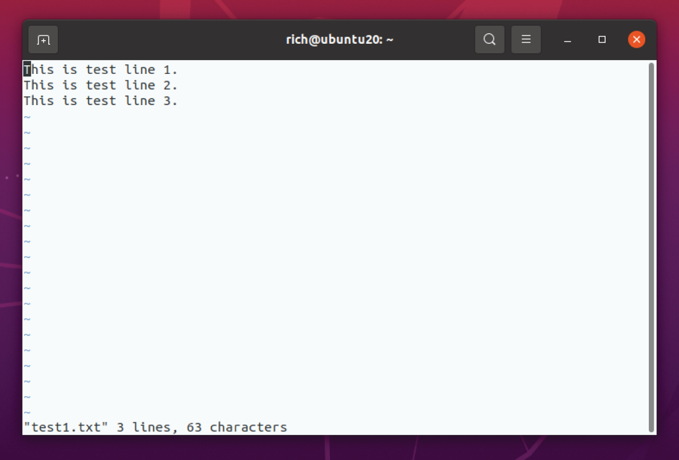Snapshot shows using the vim text editor