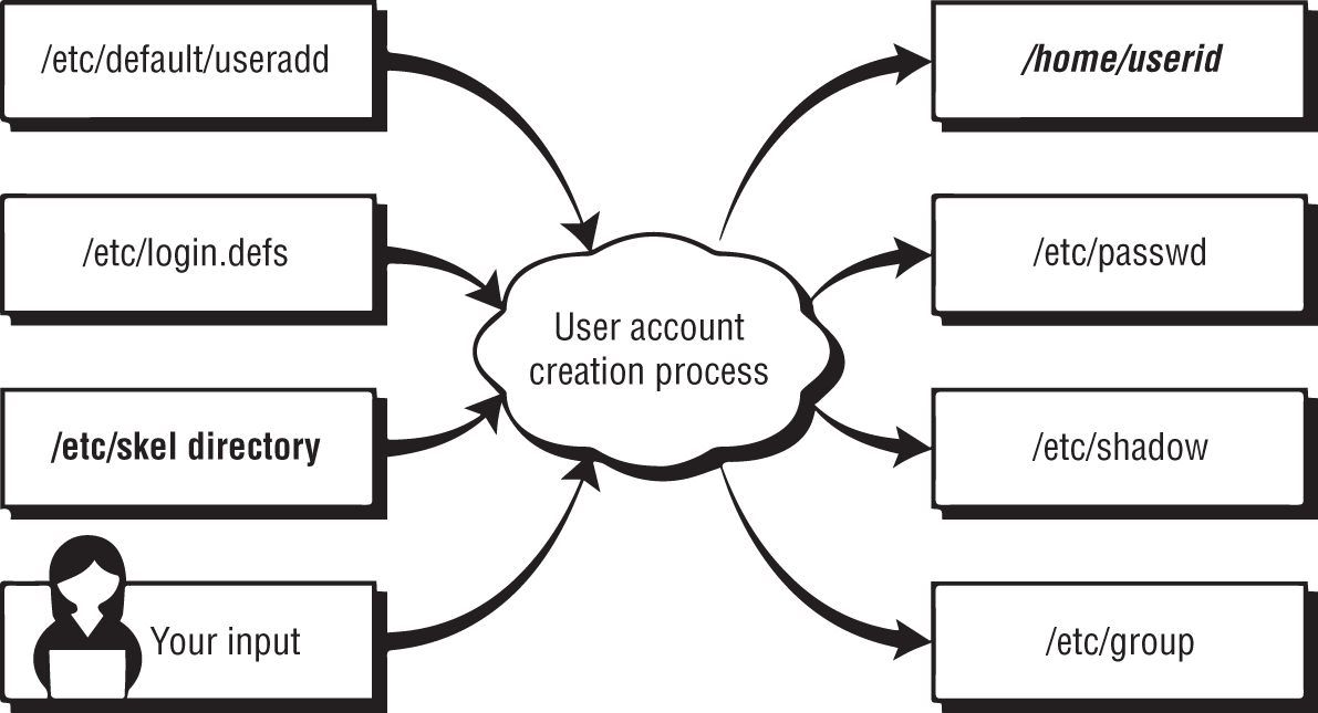 Schematic illustration of adding a user account