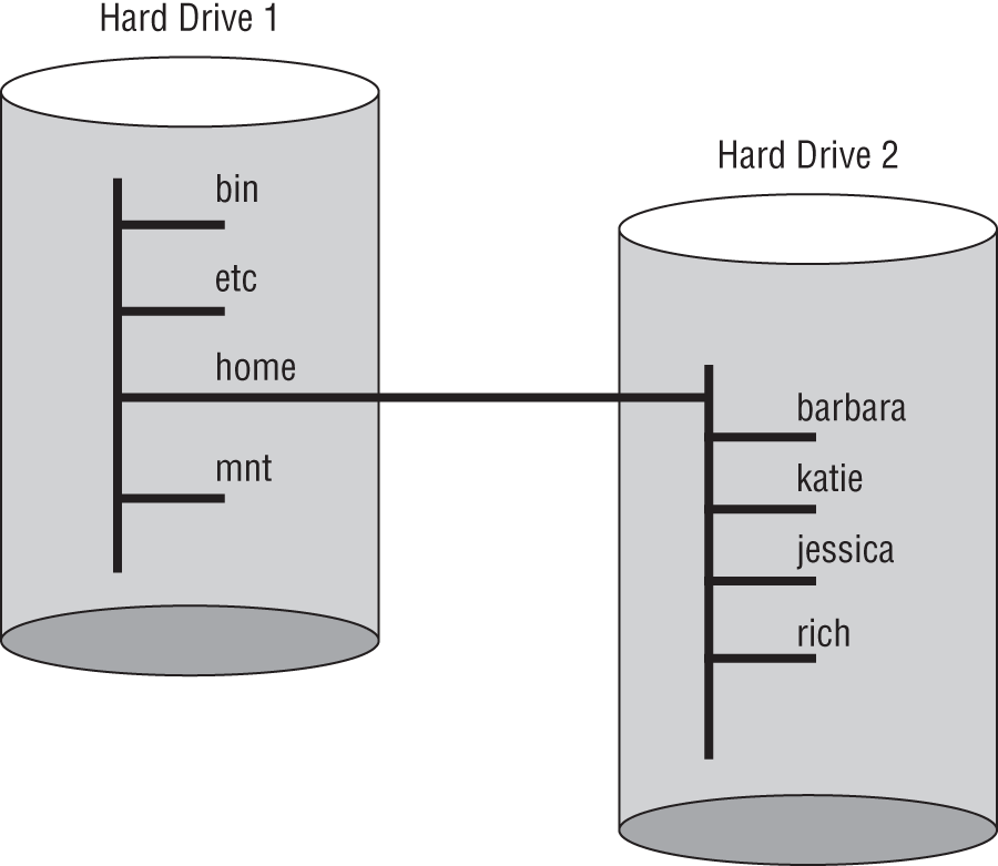 Schematic illustration of the Linux virtual directory structure divided between two drives