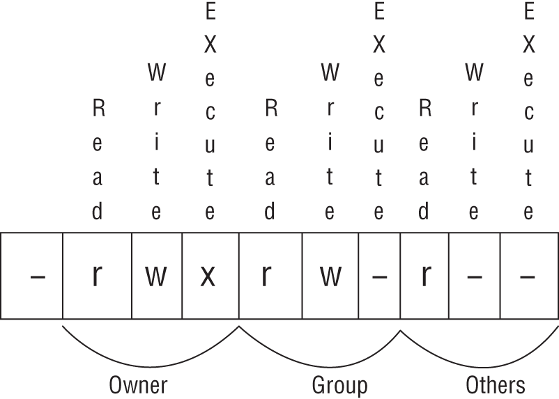 Schematic illustration of file and directory permissions as displayed in the ls output