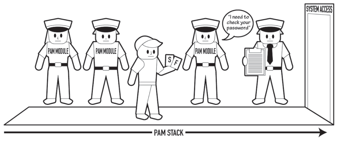 Schematic illustration of the PAM module stack process