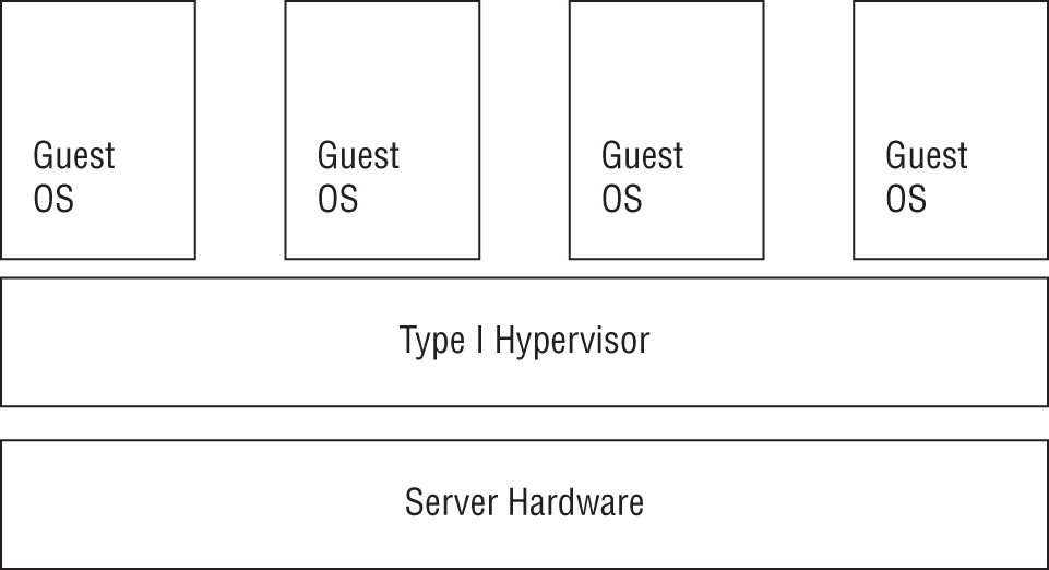 Schematic illustration of Type I hypervisors