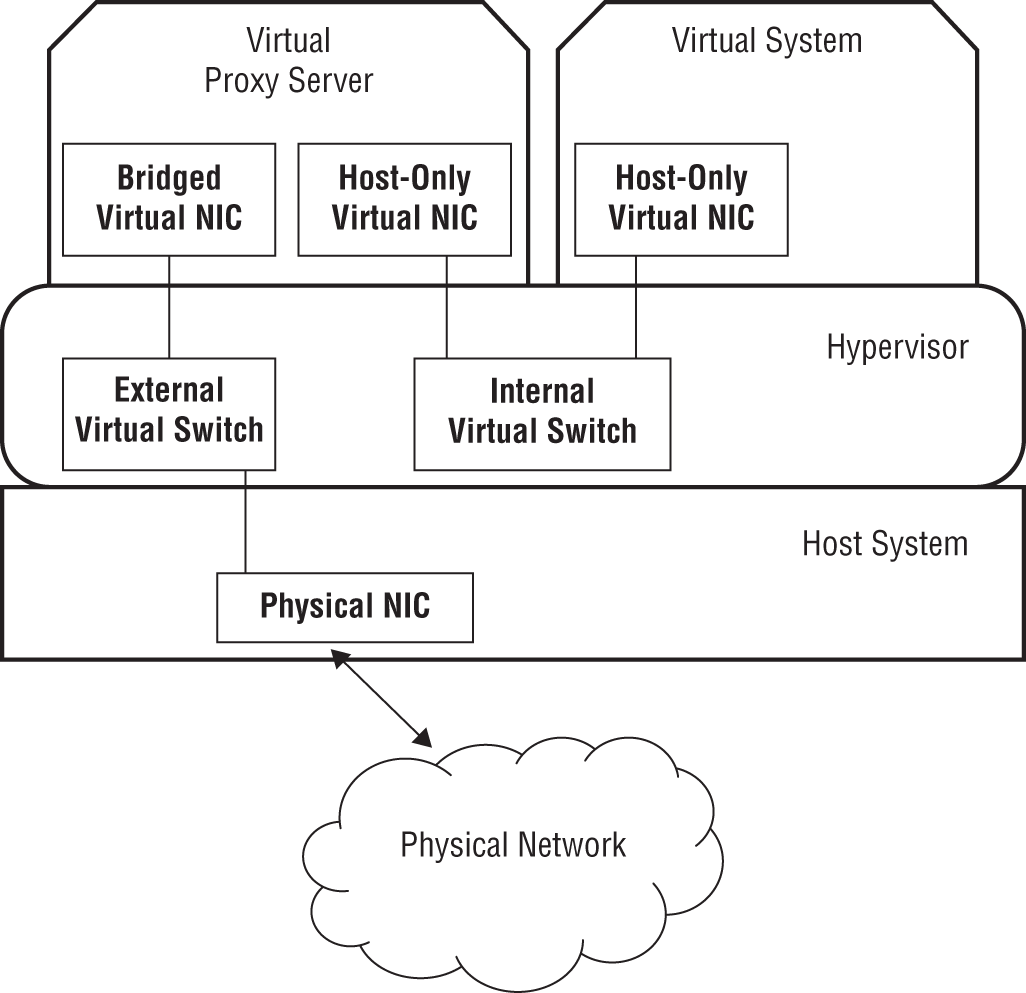 Schematic illustration of virtual proxy server