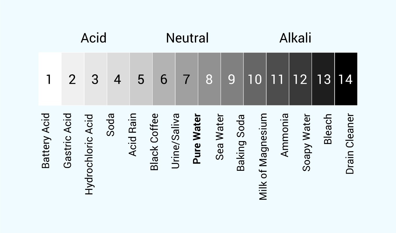 TEAS science 16