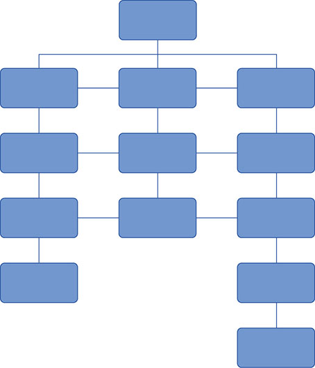 Diagram shows structure resembling matrix in which employees have dual reporting relationships- as functional manager vertically and as product manager horizontally.