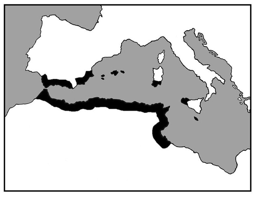 e9780738666372_i0008.jpg