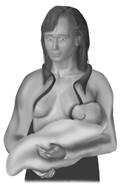 Breastfeeding_-_Cradle_Hold.png