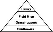 fig10-msp424.eps