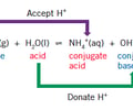 Image: What are conjugate acid-base pairs?