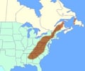 Image: Appalachian Mountains