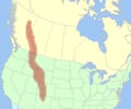 Image: Rocky Mountains