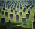 Image: Death rate