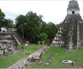 Image: Lost City of Tikal