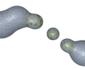 Image: Vesicle