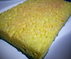 Image: Sponge