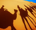 Image: caravan