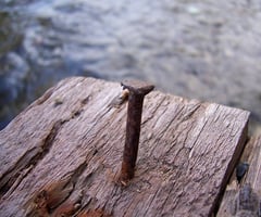 Image: nail