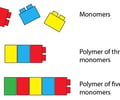 Image: amino acid