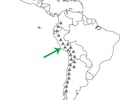 Image: Andes Mountains