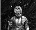 Image: Four Noble Truths