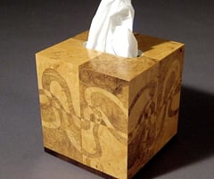 Image: tissue box