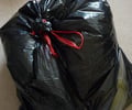 Image: trash bags