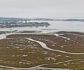 Image: Estuary