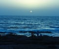 Image: sea