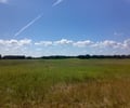 Image: grasslands