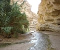Image: Wadis